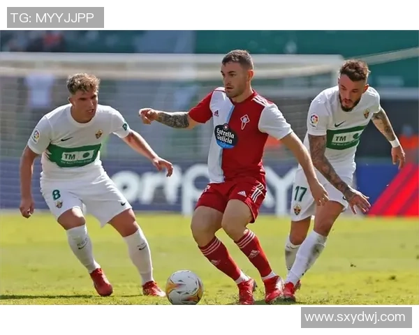 足球界那些被低估的冷门球星他们的才华为何未能被更多人发现